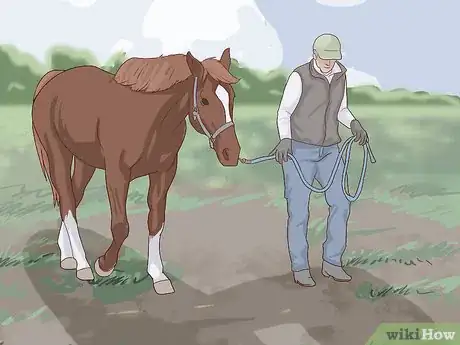 Image titled Walk a Colicking Horse Step 4
