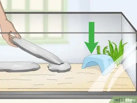 Image titled Keep Japanese Weather Loaches Step 3