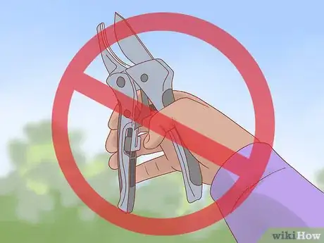 Image titled Plant a Climbing Rose Step 19