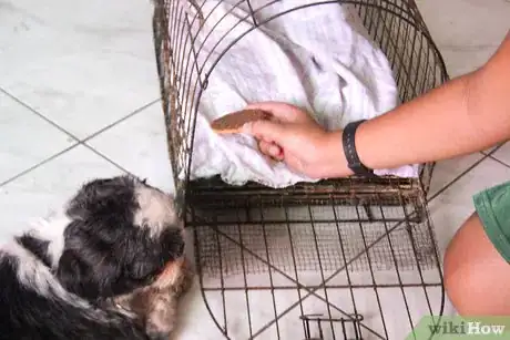 Image titled Housebreak Your Dog Using Crate Training Step 4
