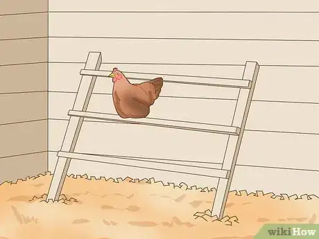 Image titled Keep a Pet Chicken Step 3