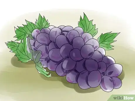 Image titled Make Homemade Wine Step 2