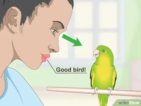 Image titled Teach a Parrotlet to Speak Step 7