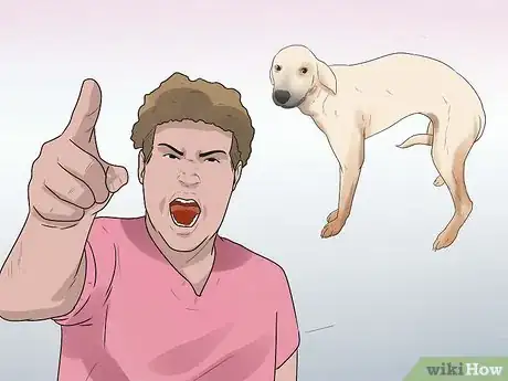 Image titled Rehabilitate an Overly Shy Dog Step 4