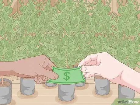 Image titled Grow Garcinia Cambogia Fruit Step 6