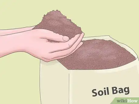 Image titled Grow Rhubarb Step 4