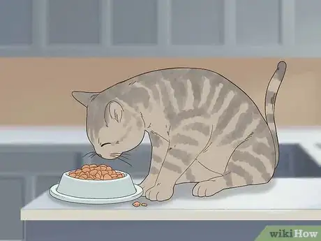 Image titled Deal with Your Cat Pacing at Night Step 3