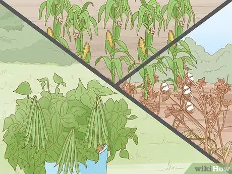 Image titled Reduce the Use of Pesticides in Farming Step 2