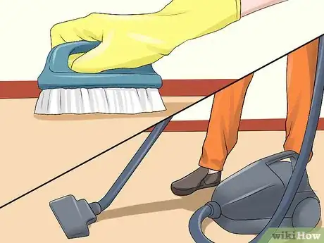 Image titled Diagnose Tapeworms in Cats Step 11