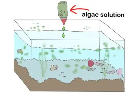 Image titled Types of bottom feeders734568255567