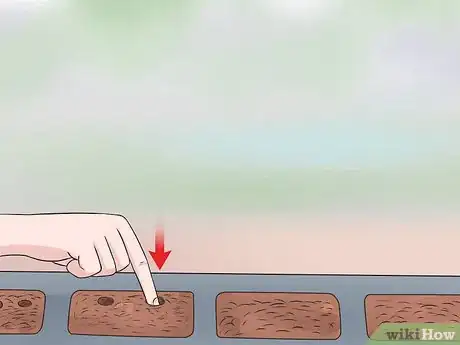 Image titled Grow Tomatoes Upside Down Step 2