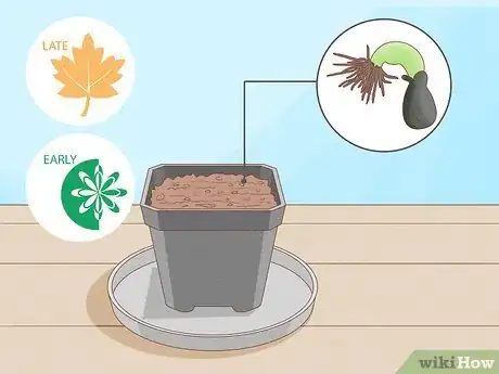 Image titled Raise Carnivorous Plants Step 8