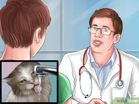 Image titled Stop a Cat from Drinking from Odd Places Step 7