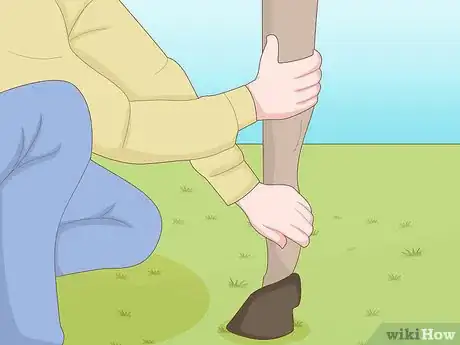 Image titled Be a Farrier Step 3