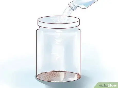 Image titled Grow Alfalfa Sprouts Step 5