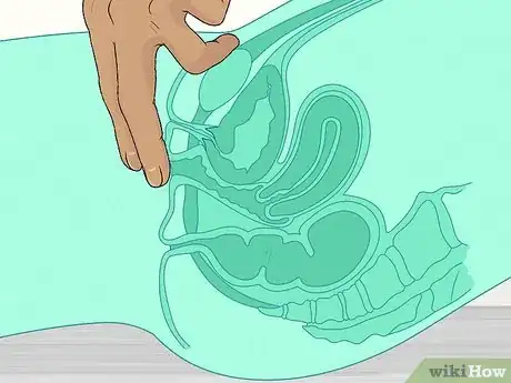 Image titled Use Ben Wa Balls Step 3