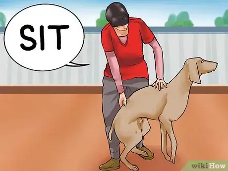 Image titled Encourage Your New Dog to Listen to You Step 4