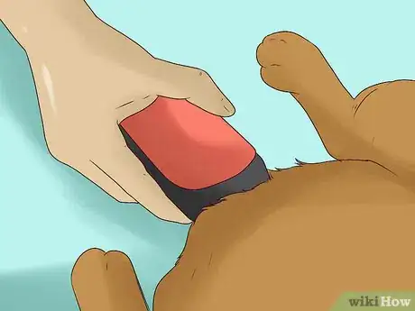 Image titled Groom an Angora Rabbit Step 6