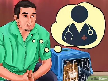 Image titled Get Your Cat's Teeth Professionally Cleaned Step 8