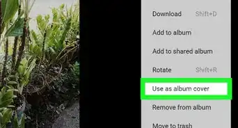 Change a Google Photos Album Cover on PC or Mac