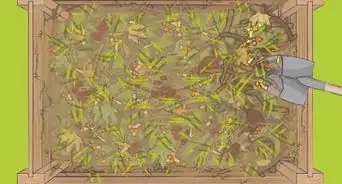 Dispose of Coffee Grounds