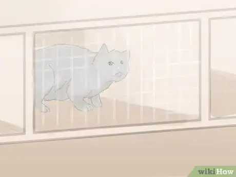 Image titled Handle a Stray Cat Step 12
