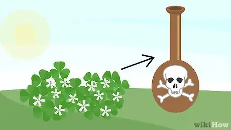 Image titled Plant Oxalis Step 17