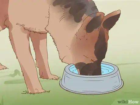 Image titled Get Veterinary Hospice Care for Your Dog Step 13