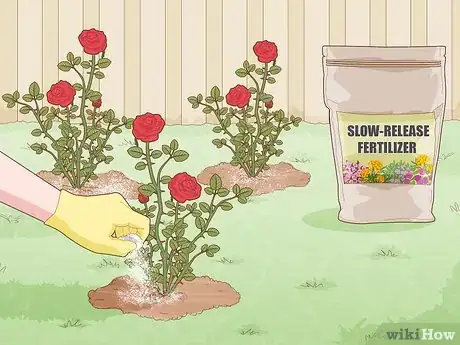 Image titled Apply Slow Release Fertilizer Step 13