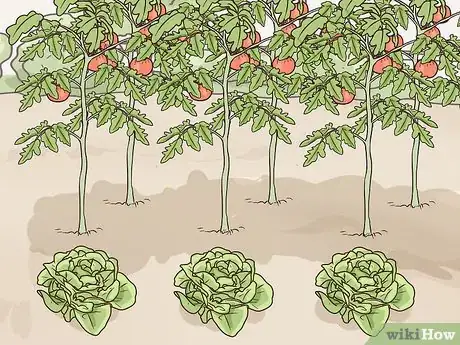 Image titled Grow a Sustainable Garden Step 6