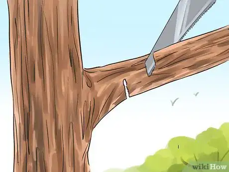 Image titled Prune a Redbud Tree Step 2