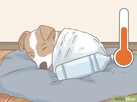 Image titled Treat Frostbite in Dogs Step 2