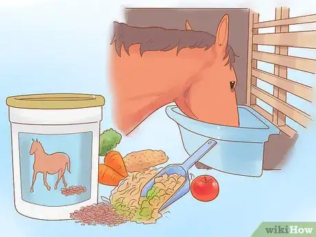 Image titled Condition Your Horse for Endurance Riding Step 16
