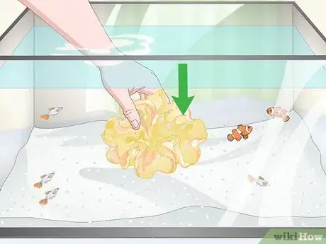 Image titled Reduce Saltwater Reef Aquarium Maintenance Step 4