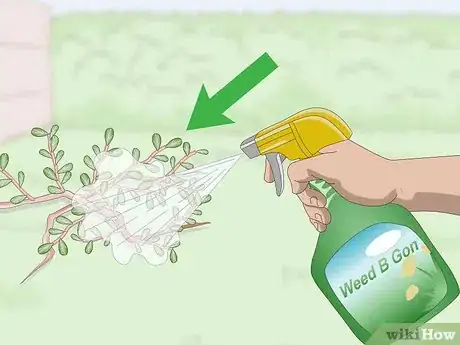 Image titled Kill Purslane Step 6