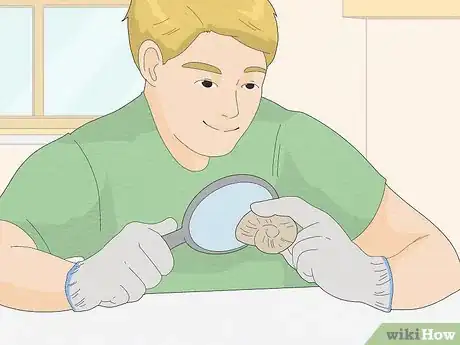 Image titled Collect Things Step 12