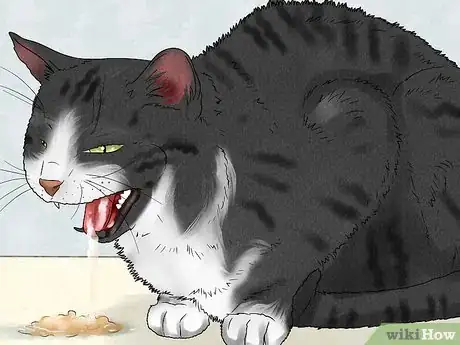 Image titled Protect Pets from Secondhand Smoke Step 10