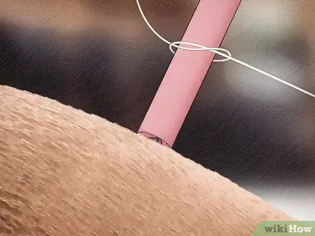 Image titled Remove a Tick from a Horse Step 5