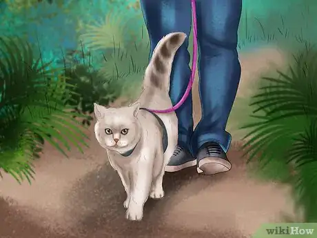 Image titled Keep a Cat's Mind Active Step 2