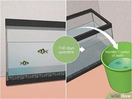 Image titled Acclimate Your Fish to a New Aquarium Step 3