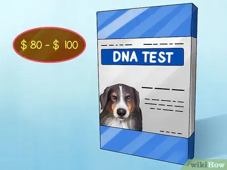 Image titled Identify a Field Spaniel Step 12