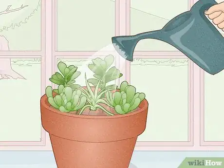 Image titled Make a Mini Garden in Your Room Step 6
