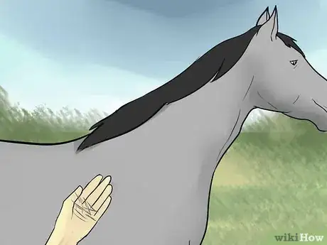 Image titled Take Care of a Horse in Hot Weather Step 14