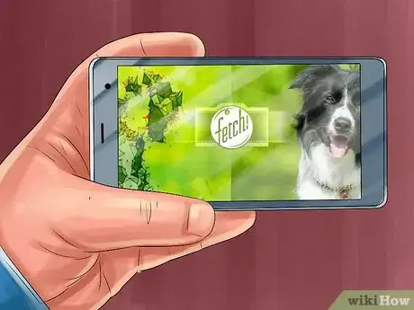 Image titled Identify a Field Spaniel Step 11