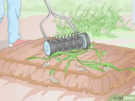 Image titled Grow Pansies Step 4