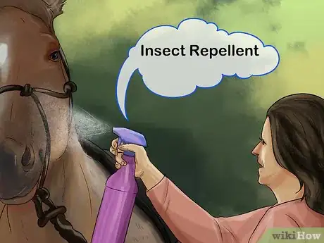 Image titled Treat Skin Disorders in Horses Step 3