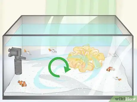 Image titled Reduce Saltwater Reef Aquarium Maintenance Step 6