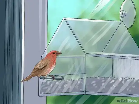 Image titled Use a Backyard Bird Feeder Step 3