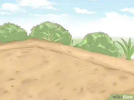 Image titled Grow Orris Root Step 3