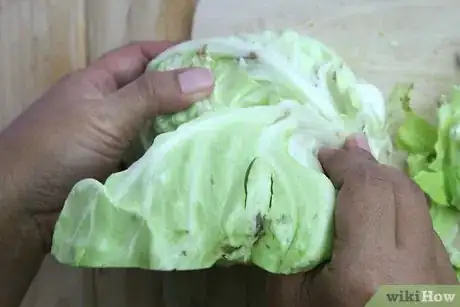 Image titled Cut a Cabbage Into Wedges Step 6